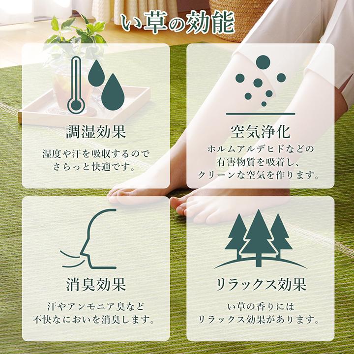 イケヒコ ラグ い草 国産 純国産 日本製 シンプル 無地風 抗菌防臭 自然素材 ウレタン グリーン 約191×191cm シンプル グリーン 8213320  -お取り寄せ品- | イケヒコ | 05