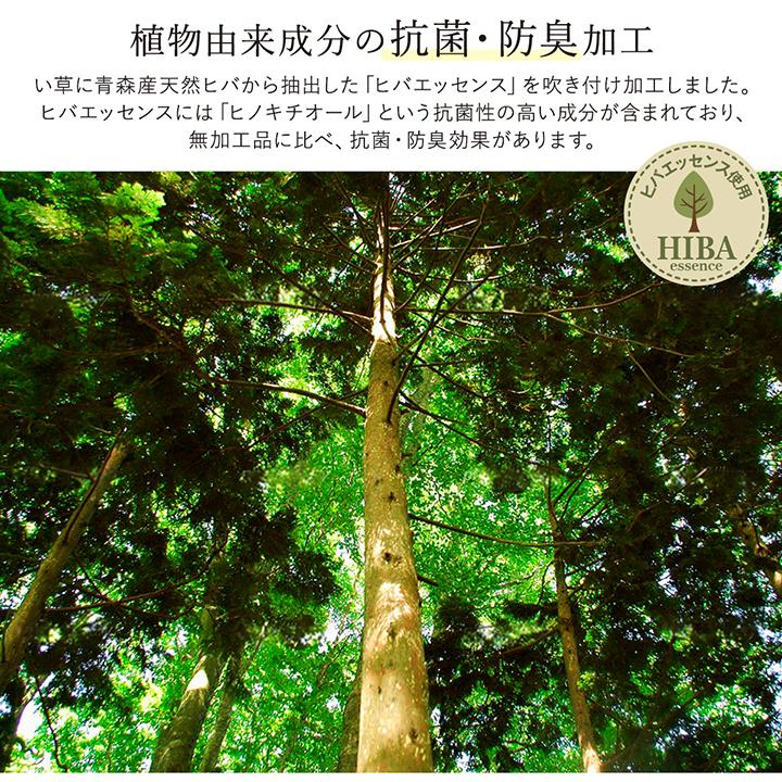 イケヒコ ラグ い草 国産 純国産 日本製 シンプル 無地風 抗菌防臭 自然素材 ウレタン グレー 約191×191cm シンプル グレー 8213370  -お取り寄せ品- | イケヒコ | 06