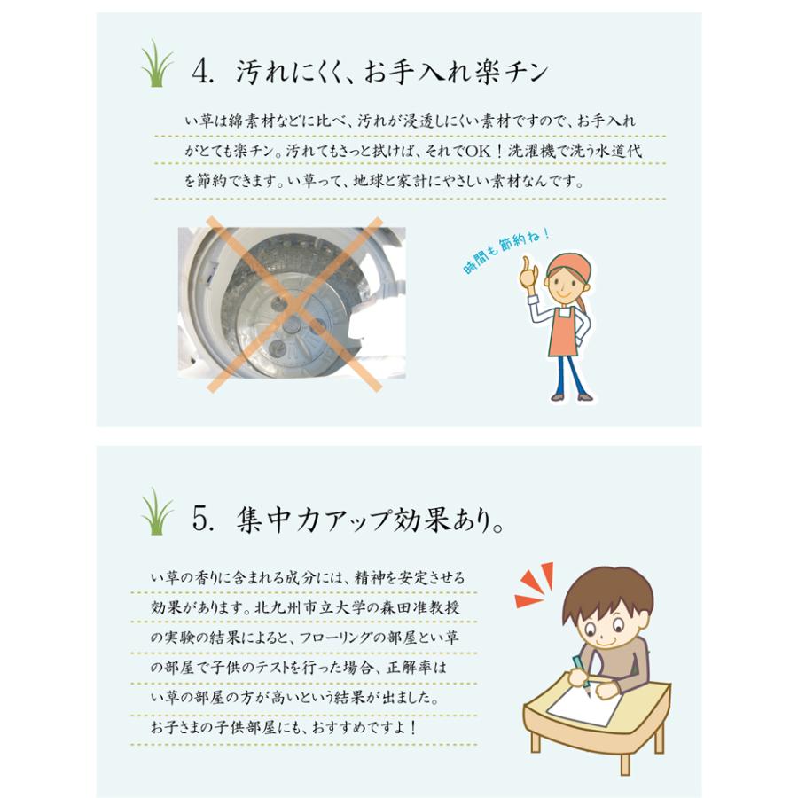 イケヒコ 純国産 い草ラグカーペット 格子柄シンプルモダン 「Fライト」 グリーン 約191×250cm モダン グリーン 8239130  -お取り寄せ品- | イケヒコ | 08