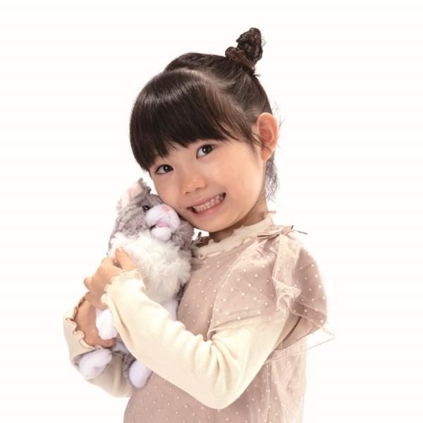 だっこでミィミィ こねこのタビー おもちゃ -取り寄せ- 0389-4966510331613-ds 4966510331613-ds |  | 02