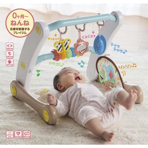 うちの赤ちゃん世界一 スマート知育ジム＆ウォーカー おもちゃ -取り寄せ- 0389-4977489025588-ds 4977489025588-ds |  | 01