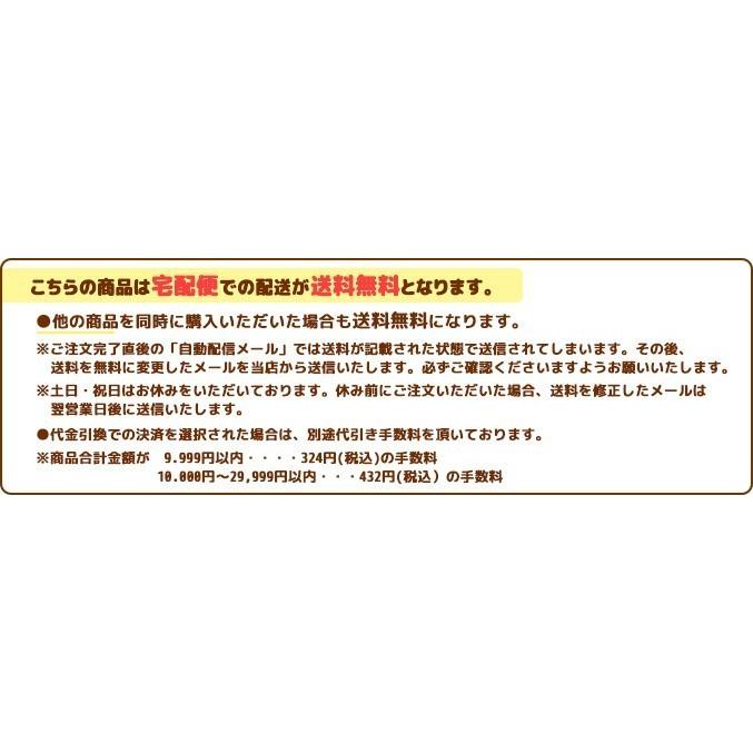 通園通学バッグ３点セット ・ 在庫限り 日本製 入園 入学 レッスンバッグ シューズ入れ 着替え袋 キルト 宅配送料無料 ・ 北海道・沖縄は除く｜applique｜04