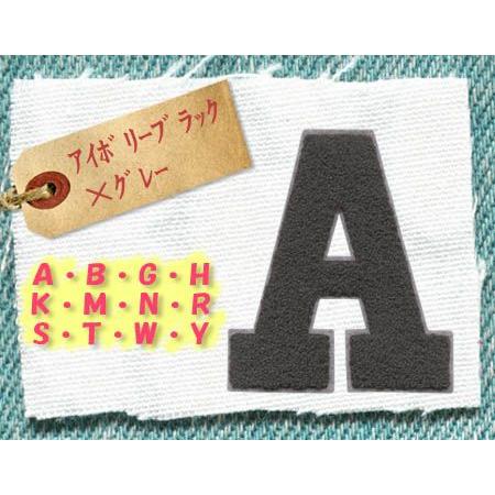 アルファベットパイルワッペン ・ 大IVブラック×グレー サガラ