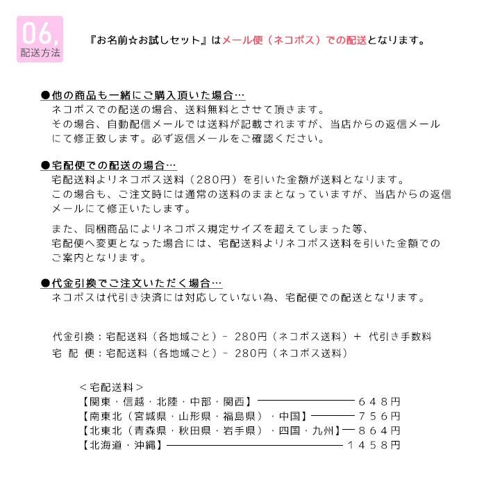 お名前お試しセット 花セット Hana Otset M おともだちの広場 ヤフー店 通販 Yahoo ショッピング