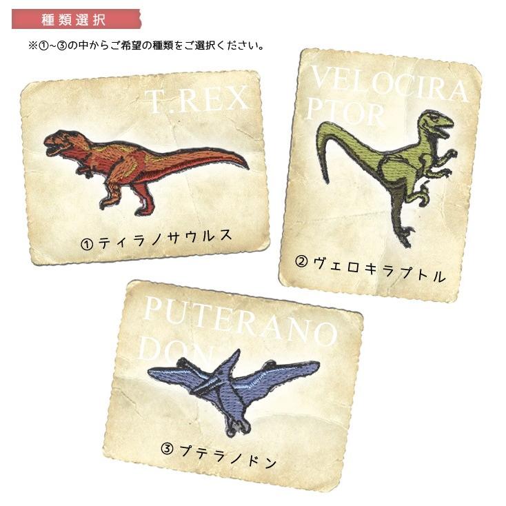 刺繍ワッペン 恐竜 総刺繍 ワッペン 恐竜 肉食 プテラノドン ティラノサウルス T Rex ヴェロキラプトル かっこいい 入園 入学 アイロン接着対応 Kyouryu Wp A おともだちの広場 ヤフー店 通販 Yahoo ショッピング