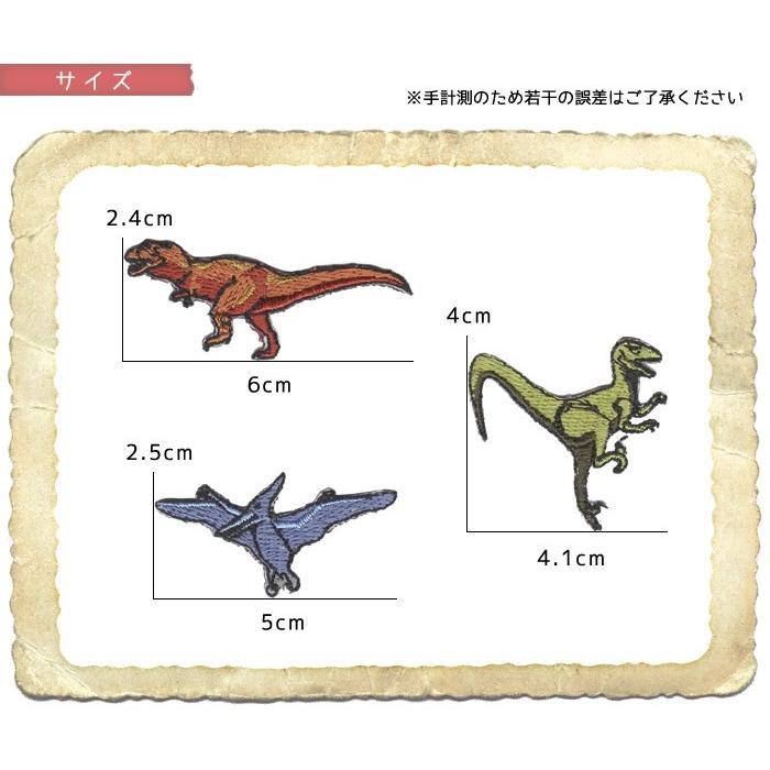 刺繍ワッペン 恐竜 総刺繍 ワッペン 恐竜 肉食 プテラノドン ティラノサウルス T Rex ヴェロキラプトル かっこいい 入園 入学 アイロン接着対応 Kyouryu Wp A おともだちの広場 ヤフー店 通販 Yahoo ショッピング