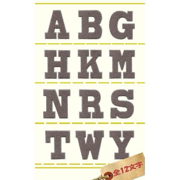 アルファベットパイルワッペン ・ 中アッシュグレー×スカイグレー