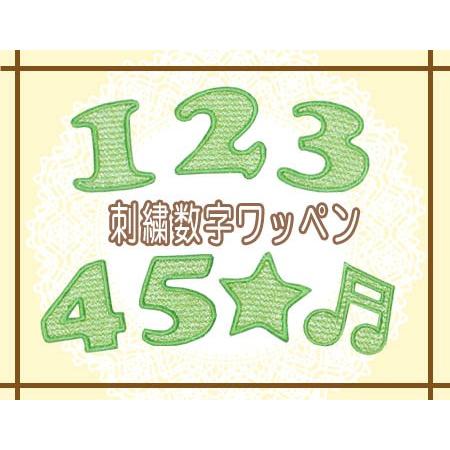 STONE Stone 刺繍パッチ 緑フチ 刺繍数字ワッペン グリーン ・ 文字