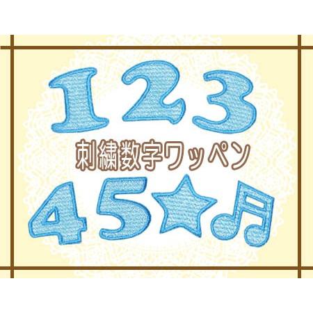 刺繍数字ワッペン 水色 ・ 文字ワッペン 入園入学準備 アイロン接着
