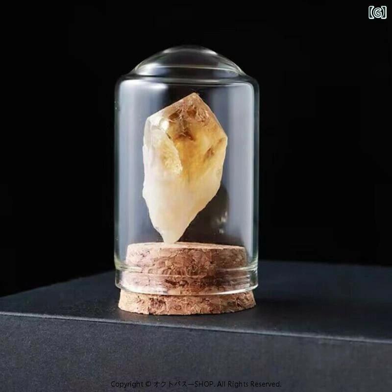 天然石 鉱物 標本 子供 キッズ 学習 教材 水晶 原石 瑪瑙 岩石 理科
