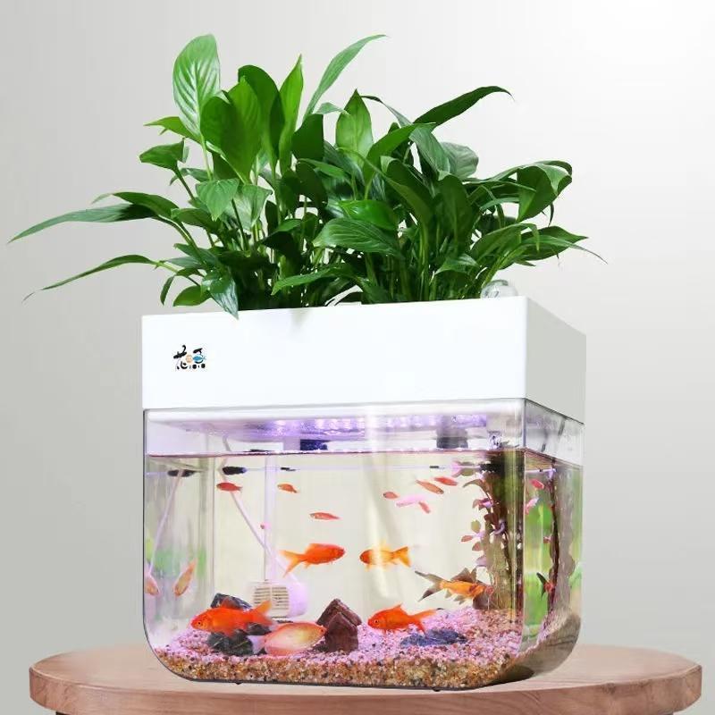 おしゃれ アクアリウム アクアポニックス 水耕栽培システム 有機セルフ