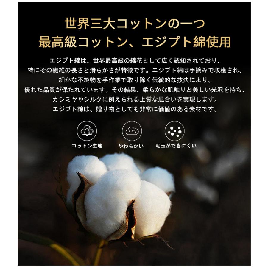 Tシャツ 半袖 EU製 christian milada ミラノ発 綿100％ スカル柄 個性 面白い ゆったり カットソー トップス カジュアル ストリート 街着 夏服 | ブランド登録なし | 02