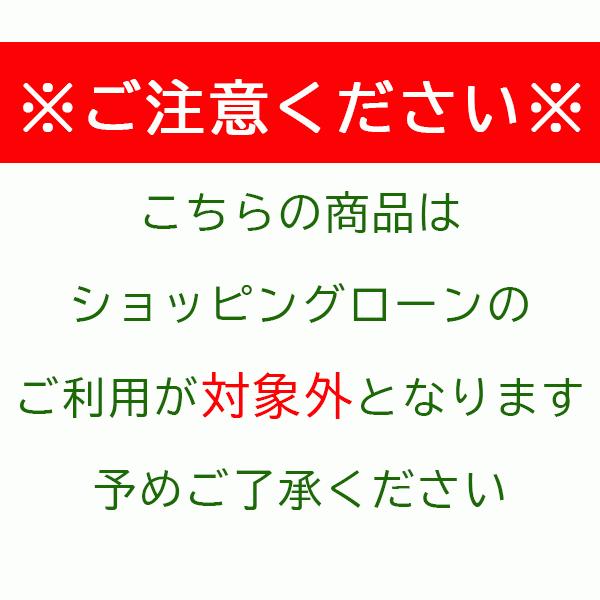 【2009年　チンチラ】キャットコイン 2009年チンチラ】キャットコイン