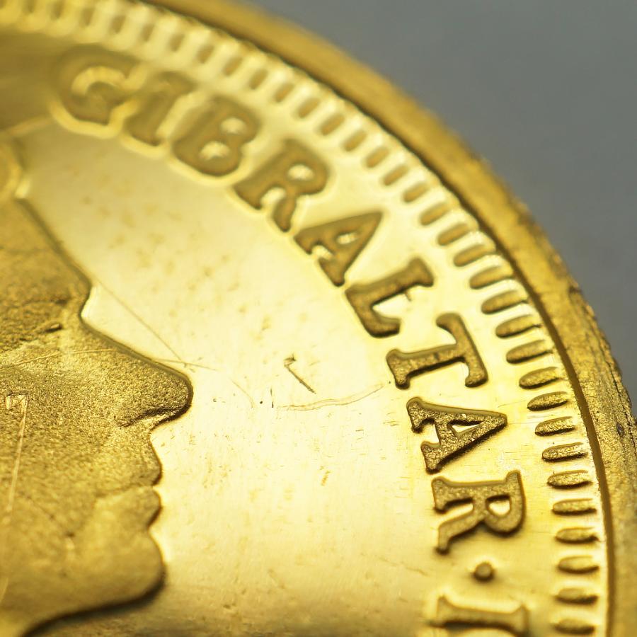 中古B/標準 貨幣 ロイヤルドッグコイン 1991 コーギー 1/10オンス 1/10oz 約3.1g 英領ジブラルタル発行 エリザベス2世 金貨 純金 硬貨 20522294085 |  | 07