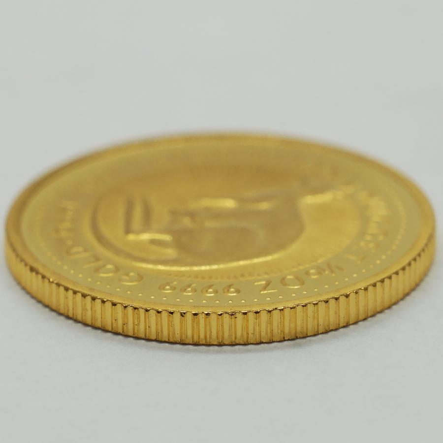 カンガルー金貨 オーストラリア 1/10オンス 流通品 1994年 カンガルー金貨 オーストラリア 1/10オンス 流通品 1994年