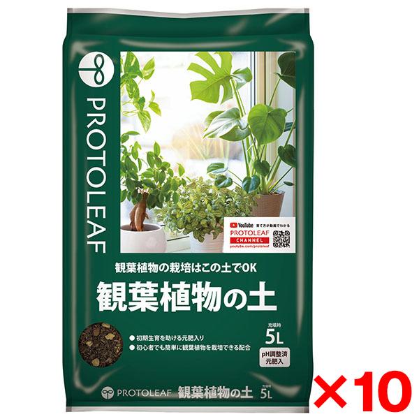 10個セット プロトリーフ 観葉植物の土 5L メーカー直送