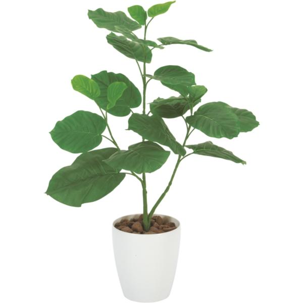 アートナップ 211a100 人口樹木 ウンベラータ80cm 通販 ウンベラータ80cm花 ガーデニング Xprice Paypayモール店