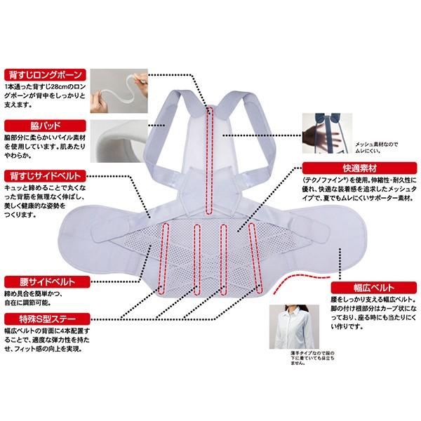 アルファックス 203216 お医者さんの腰から正す姿勢ベルト L-LL
