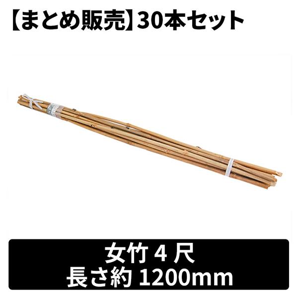 女竹　35本セット 昭光物産 まとめ販売 女竹30本セット 4尺 メーカー直送 : XPRICE Yahoo
