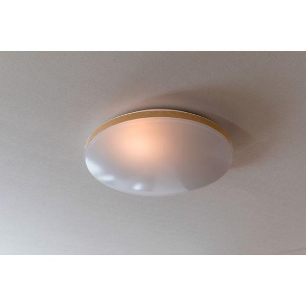 Abitelax（アビテラックス） シーリングライト LED 6畳 昼光色 LED