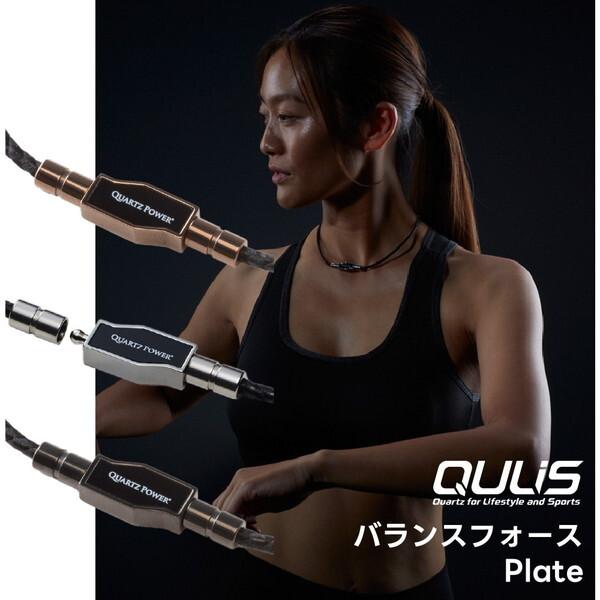 クライス QULIS ネックレス バランスフォース Plate ブラック L 磁気