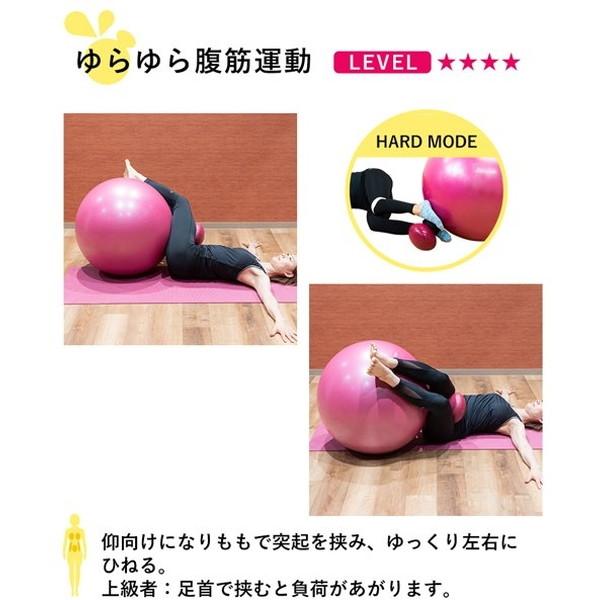 CATERPY BBL-002PLM Bee Balloon プラム バランスボール : XPRICE 
