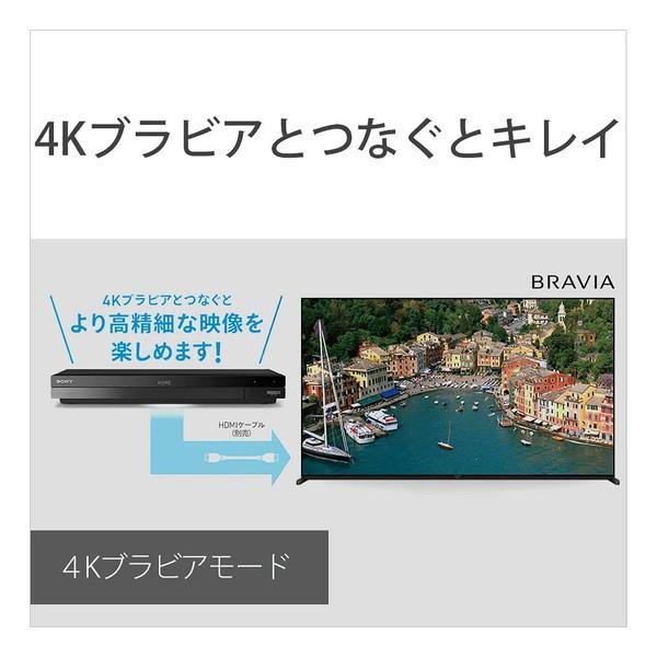 SONY BDZ-FBT6100 ブルーレイレコーダー(HDD6TB・3番組同時録画)｜aprice｜09