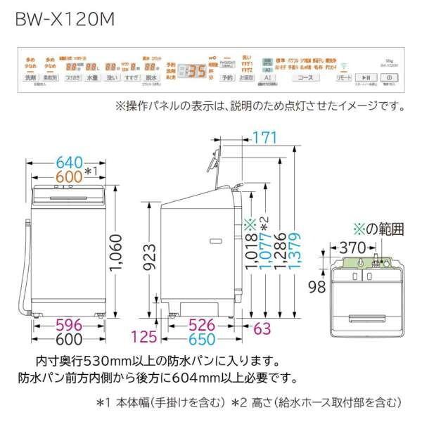 日立（HITACHI） 洗濯機 縦型 12kg 全自動洗濯機 BW-X120M ホワイト