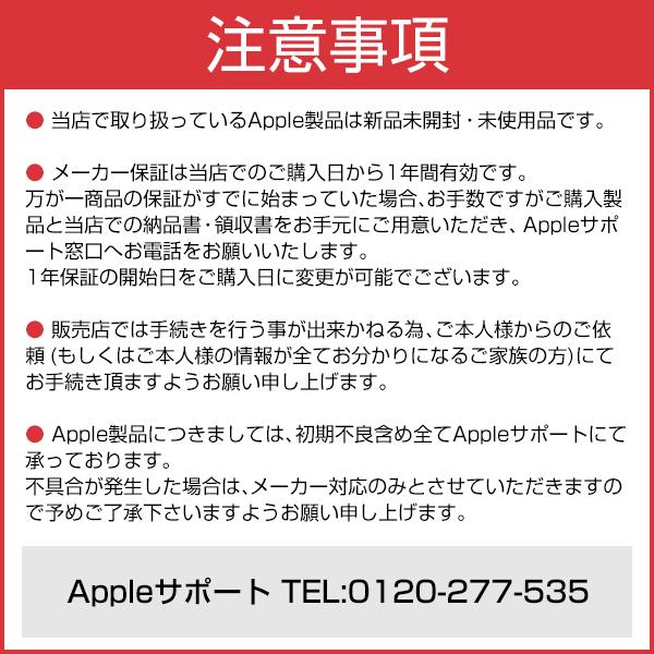新品 AirPods Pro エアポッズ MLWK3J/A 第1世代 2021年モデル Apple 