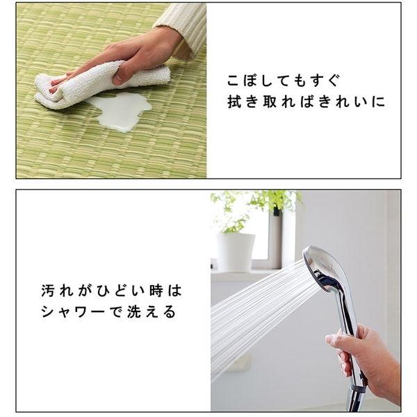 イケヒコ・コーポレーション 1090031061402 洗える PPカーペット バルカンブラウン 江戸間10畳 メーカー直送 | イケヒコ | 04