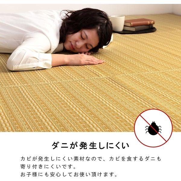 イケヒコ・コーポレーション 1090031061402 洗える PPカーペット バルカンブラウン 江戸間10畳 メーカー直送 | イケヒコ | 05