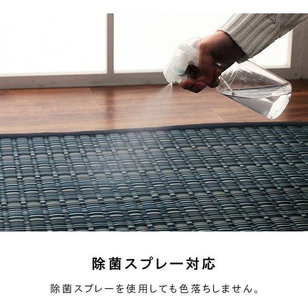 イケヒコ・コーポレーション 1090031061402 洗える PPカーペット バルカンブラウン 江戸間10畳 メーカー直送 | イケヒコ | 06