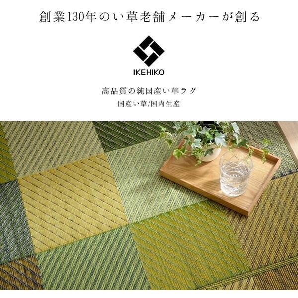 イケヒコ・コーポレーション 1050140123904 ラグ 純国産 国産 日本製 い草 抗菌防臭 自然素材 モダン DXカラフルブロック グリーン 約191×250cm メーカー直送_3