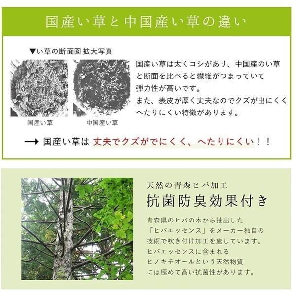 イケヒコ・コーポレーション 1050140123904 ラグ 純国産 国産 日本製 い草 抗菌防臭 自然素材 モダン DXカラフルブロック グリーン 約191×250cm メーカー直送_9