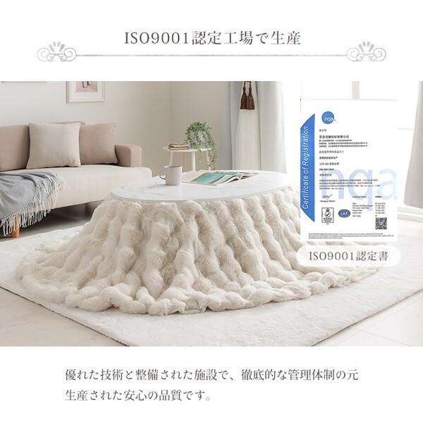 イケヒコ・コーポレーション 1182280142411 ラピアスプレミアム 楕円形 掛 IV 185X225 アイボリー こたつ布団 メーカー直送_14