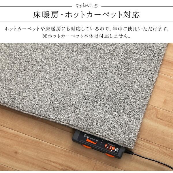 イケヒコ・コーポレーション 1280700131403 ラグ 長方形 手洗い ループ