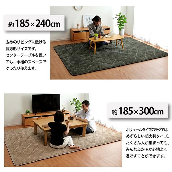 イケヒコ・コーポレーション 1290970195601 グランドAZ 製品 約3畳用