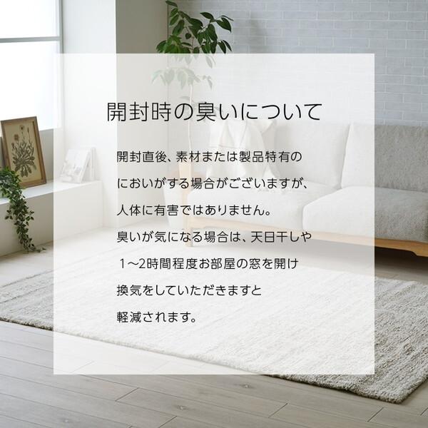 イケヒコ・コーポレーション 1321630140401 タック IV 160×230