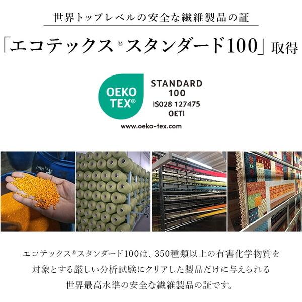 イケヒコ・コーポレーション 1321700190401 アルスラーン NV 150×225 ネイビー ウィルトンラグ メーカー直送_8