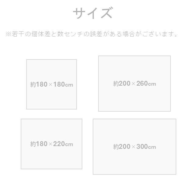イケヒコ・コーポレーション 1341530022403 敷物 ラグ(ボンディングラグ) ラエル BE 180×220cm メーカー直送_4