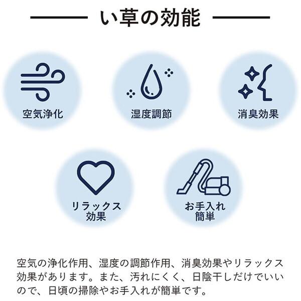 イケヒコ・コーポレーション 1051640000000 ラグ 長方形 い草 日本製 市松柄 オールシーズン 消臭 約3畳 約191×250cm ホットカーペット 床暖房 メーカー直送