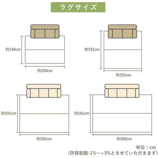 イケヒコ・コーポレーション 1051640000000 ラグ 長方形 い草 日本製 市松柄 オールシーズン 消臭 約3畳 約191×250cm ホットカーペット 床暖房 メーカー直送