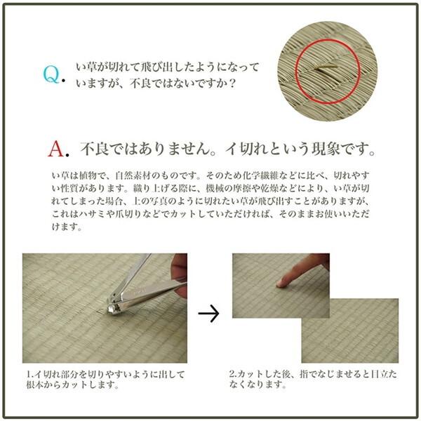 イケヒコ・コーポレーション 1051640000000 ラグ 長方形 い草 日本製 市松柄 オールシーズン 消臭 約3畳 約191×250cm ホットカーペット 床暖房 メーカー直送