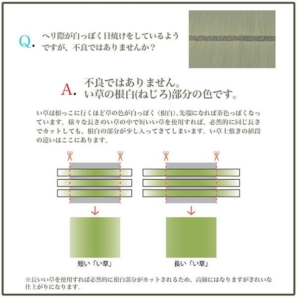 イケヒコ・コーポレーション 1051640000000 ラグ 長方形 い草 日本製 市松柄 オールシーズン 消臭 約3畳 約191×250cm ホットカーペット 床暖房 メーカー直送