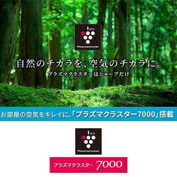 SHARP エアコン 10畳 冷暖房 シャープ 工事対応可能 DHシリーズ SHARP エアコン 10畳 冷暖房 シャープ 工事対応可能 DHシリーズ