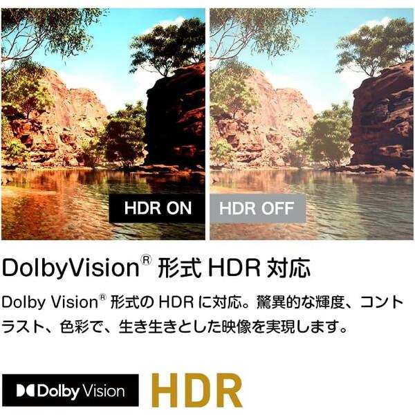 オリオン電気（ドウシシャ） テレビ 65型 液晶テレビ オリオン SMART