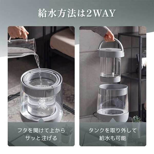 MAXZEN（マクスゼン） MAXZEN MKS-QD201-GY グレー スチーム式加湿器