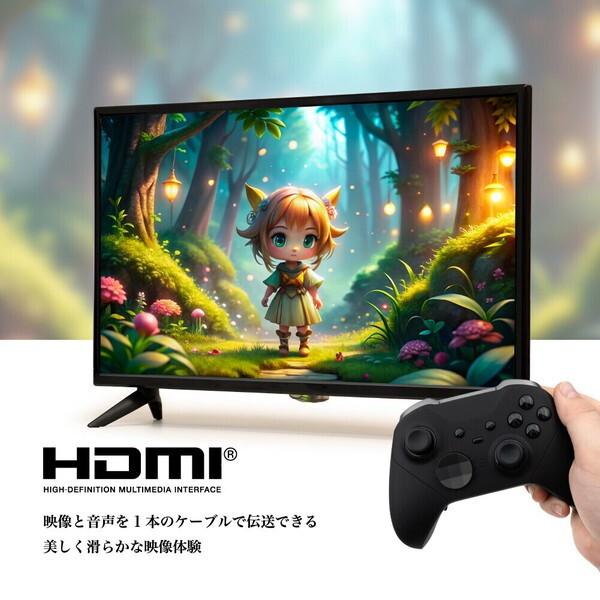 ティーズネットワーク LE-243HD 24V型 地上・BS・110度CS ティーズネットワーク LE-243HD 24V型 地上・BS・110度CS