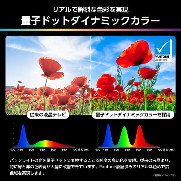 ハイセンス（HISENSE） テレビ 85型 液晶テレビ 85インチ TV 85U9R 4K