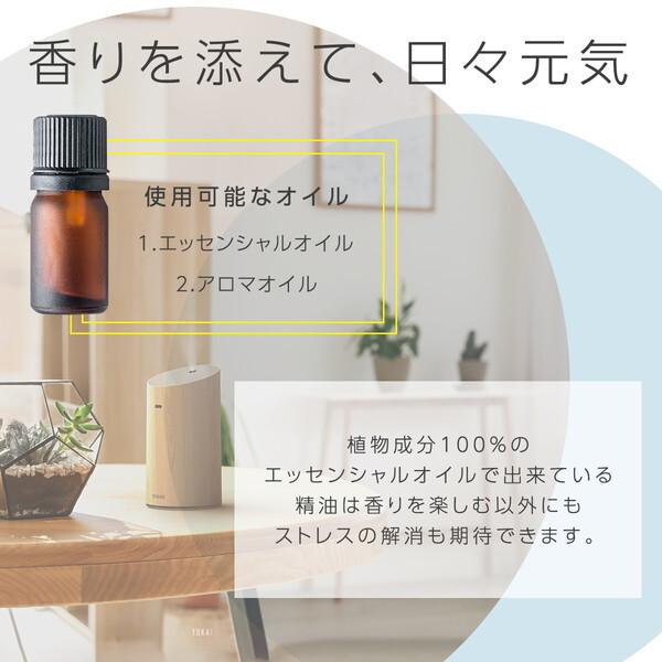 TOKAIZ（トカイズ） TOKAIZ TAD-001 (ブラック) 噴霧式アロマ